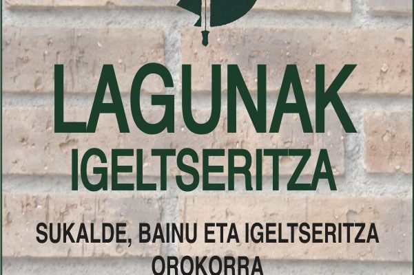 Lagunak-igeltseritza