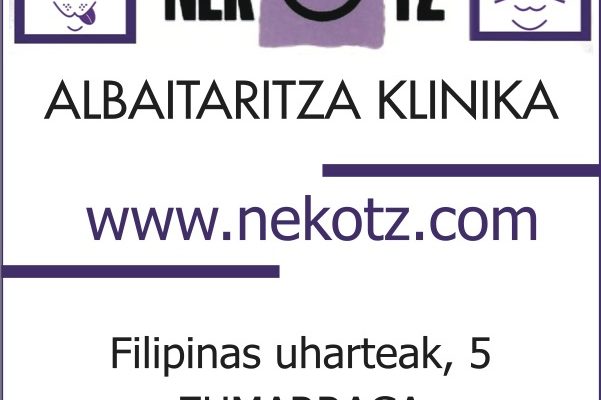 Nekotz-albaitaritza