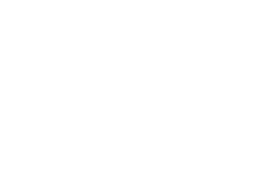 Auto salmenta2