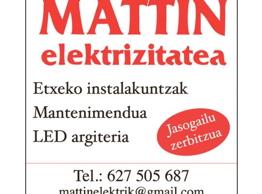 Elektrizitatea-Mattin