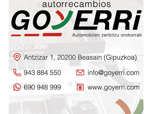 Osagaiak-Goyerri-autorrecambios